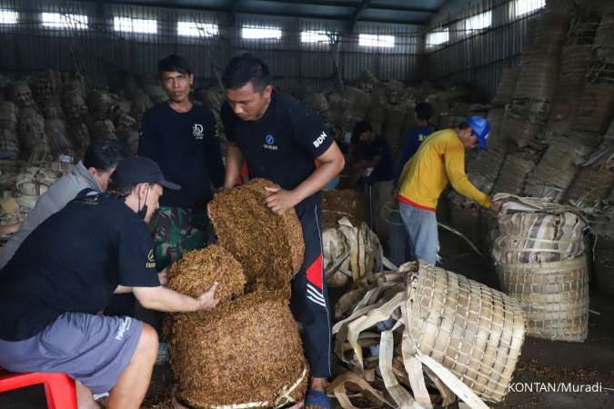 Dinilai Memberatkan Petani Tembakau, Anggota DPR Desak Revisi PP 28/2024 