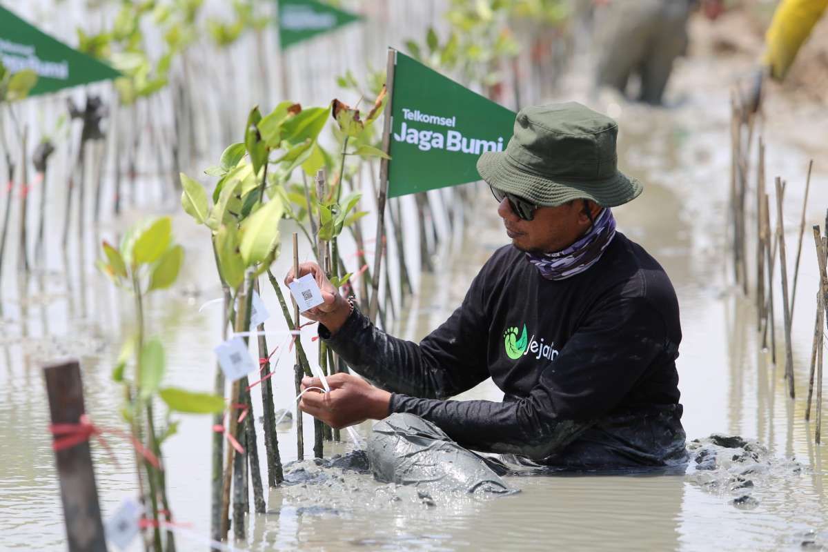 Kiat Telkomsel Menambal Jejak Karbon di Industri Telekomunikasi