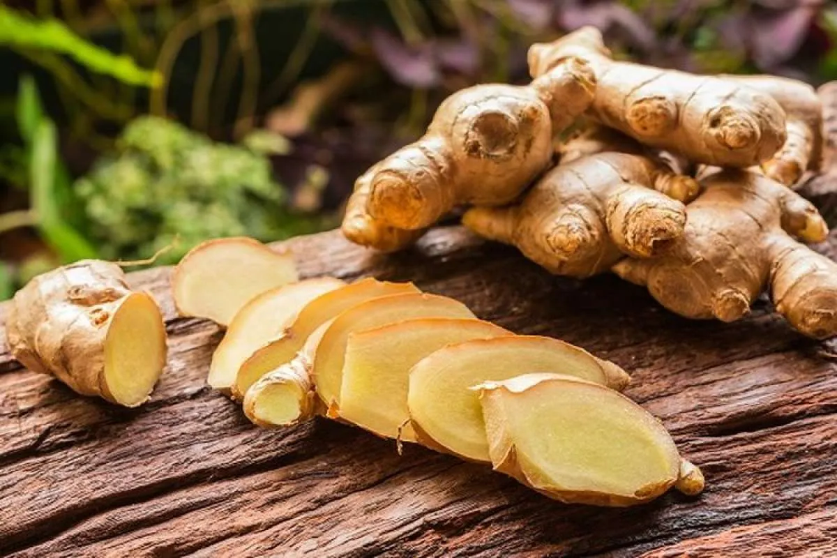 Mudah Anda dapat, ini 5 rekomendasi obat batuk kering dari bahan alami 