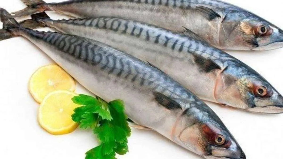 4 Manfaat Ikan Kembung yang Kaya Gizi 