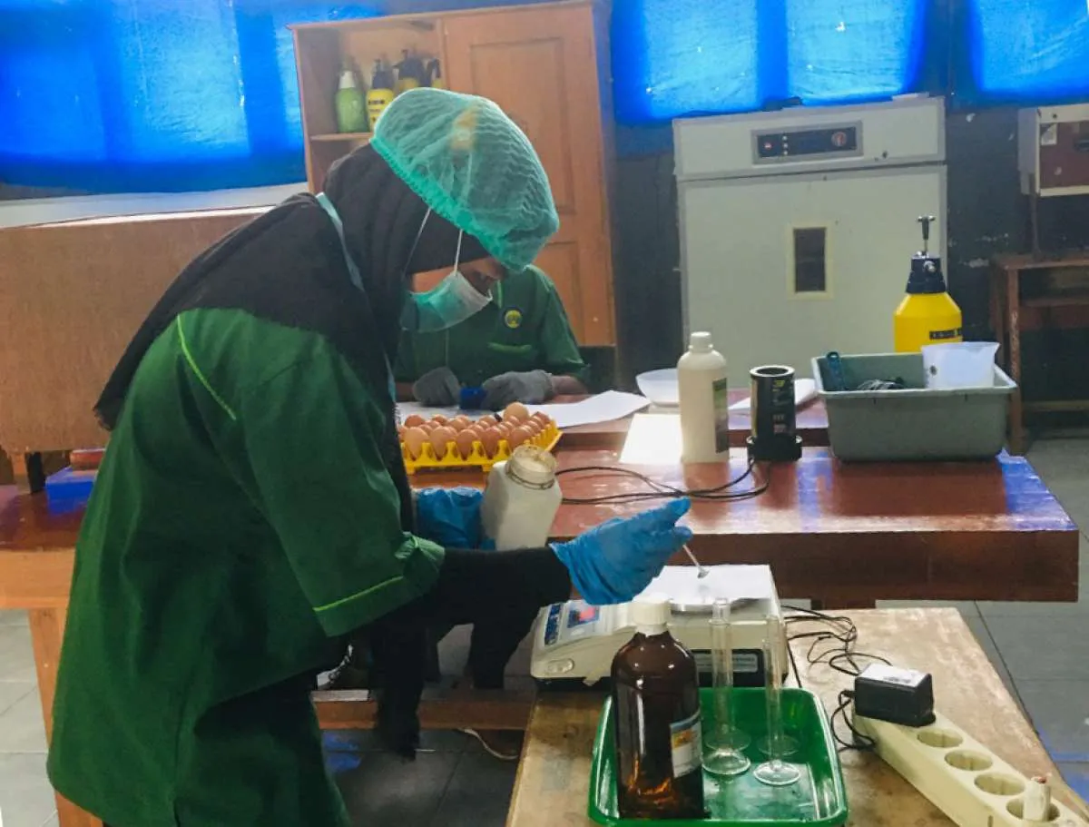 SMKN 1 Grati Menuju Teaching Factory Unggul Bidang Agribisnis Ternak