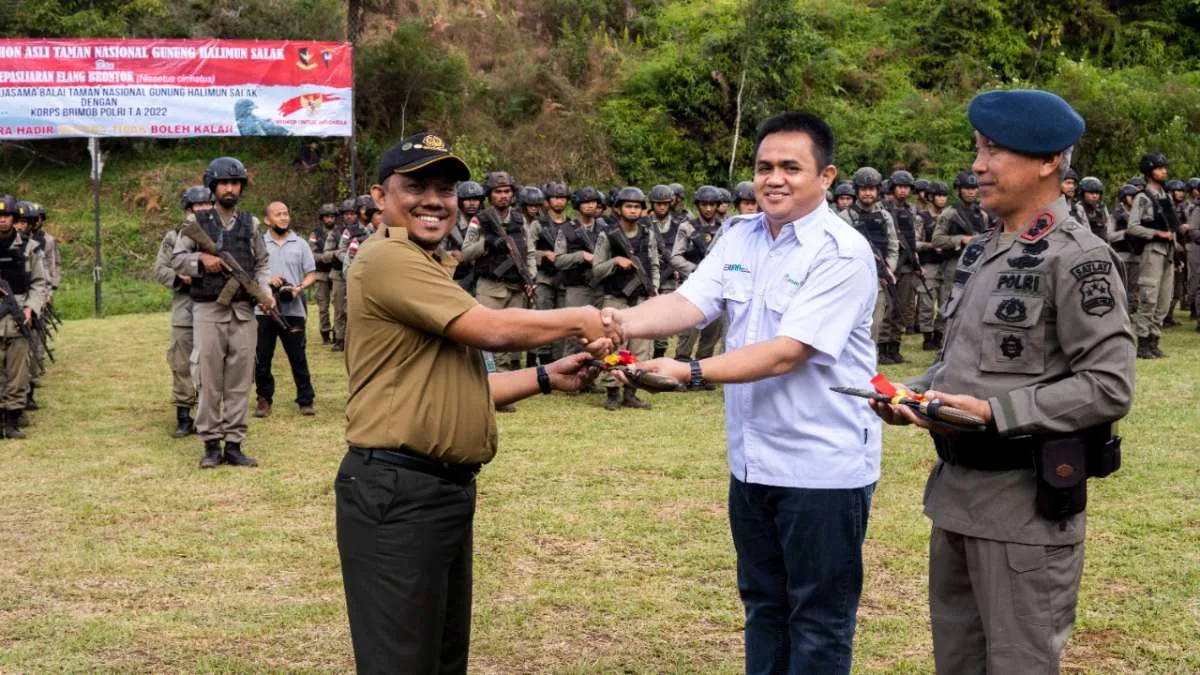 TNGHS Bersama Brimob dan Antam Tanam Pohon dan Lepasliarkan Elang Brontok