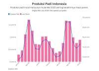 Produksi Padi di Januari-April 2025 Tertinggi Dalam 7 Tahun Terakhir