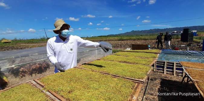 Hasil Studi Kompas Litbang Tunjukkan Industri Tembakau Gerakkan Ekonomi RI