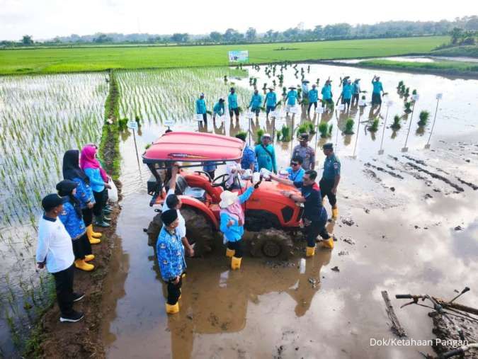 Lewat Padi Biosalin, PGN dan BRIN Hidupkan Kembali Lahan Tidur di Pesisir Jepara