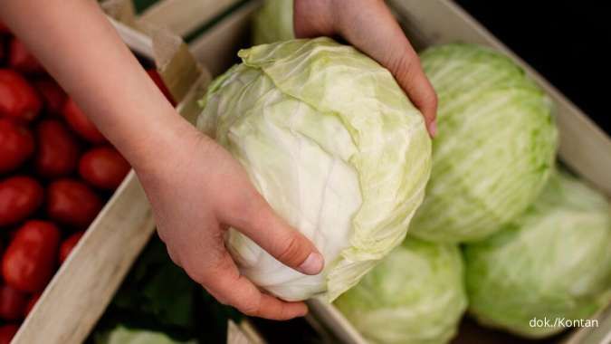 Apa yang Terjadi pada Tubuh Jika Rutin Makan Kubis?