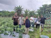 Bersama Kelompok Tani Mandiri, Petani Inspiratif Ini Dorong Ekonomi di Pulau Obi