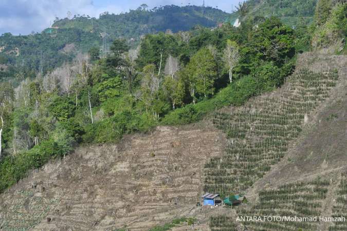 ESDM: Masih Banyak Perusahaan Tambang Tidak Punya Izin Pinjam Pakai Kawasan Hutan