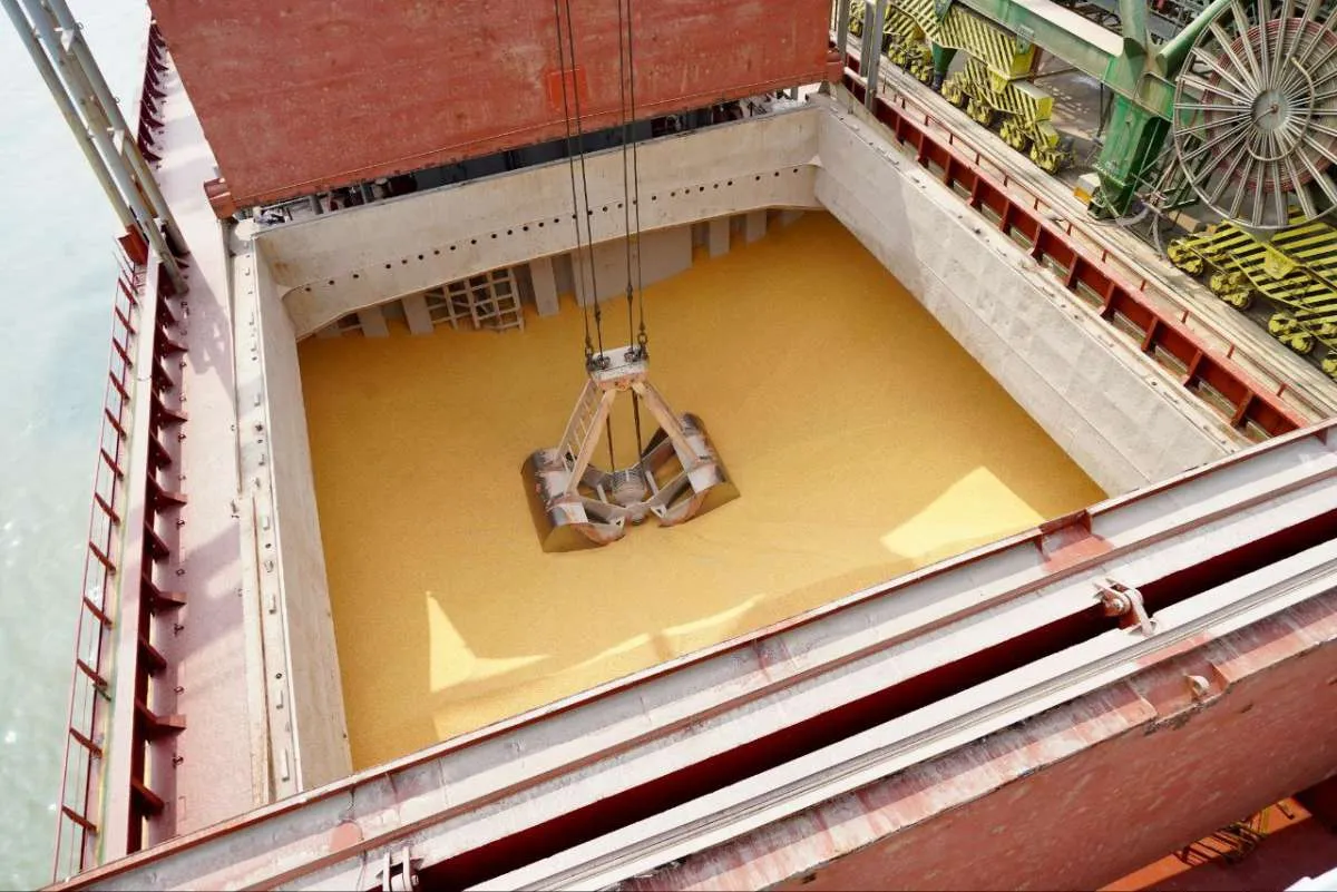 20.000 Ton Jagung Impor Untuk Peternak Tiba di Pelabuhan Teluk Lamong, Surabaya