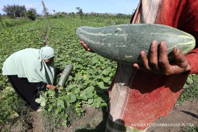 Cuaca Aceh Minggu (22/3): Sebagian Cerah, Waspada 3 Daerah Udara Kabur!