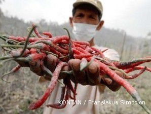 Melalui inpres antisipasi iklim ekstrem, fleksibelitas Mentan sangat tinggi