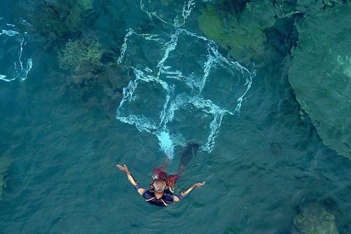 Potensi Besar Perdagangan Karbon di Ekosistem Laut