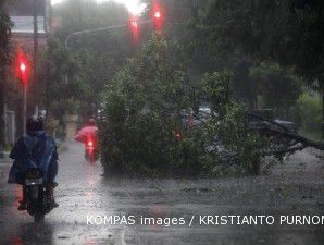 Strong winds, high tide hit West Java