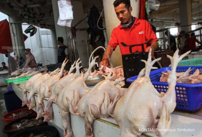 Pemicu Harga Daging Ayam dan Telur di Pasar Tetap Tinggi 
