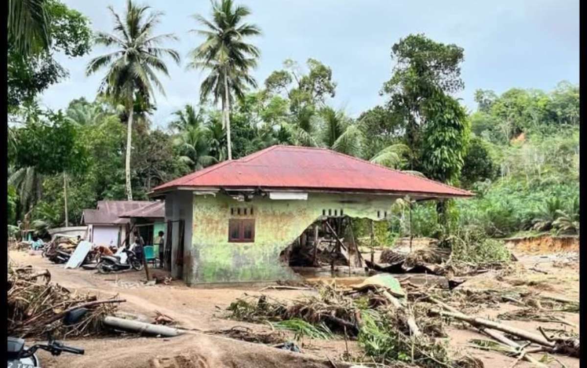 WALHI Beberkan Akumulasi Alih Fungsi Hutan 10.795 Ha Pemicu Banjir di Sumut