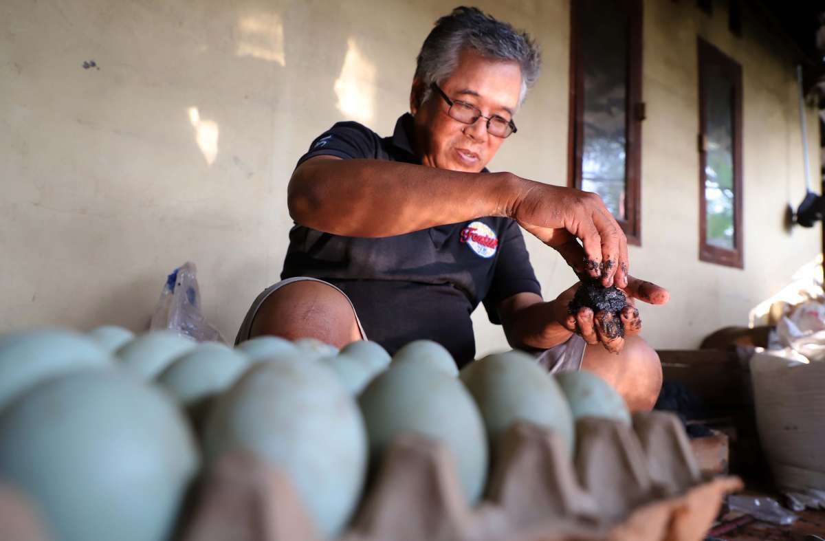 Pemerintah Targetkan Rasio Kewirausahaan Nasional Terus Meningkat