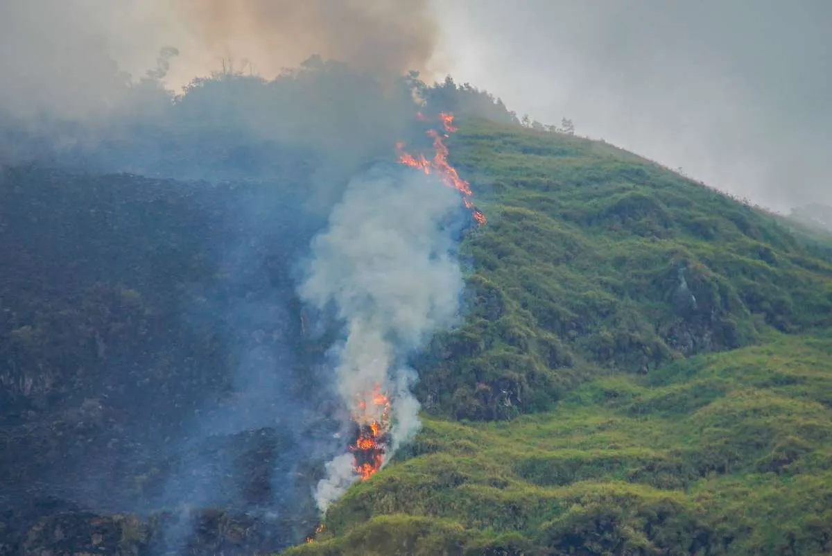 Kebakaran Hutan Meluas, Seluruh Akses ke Gunung Bromo Ditutup
