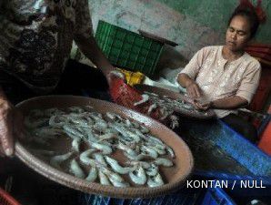 Harga udang catat rekor tertinggi dalam 10 tahun terakhir