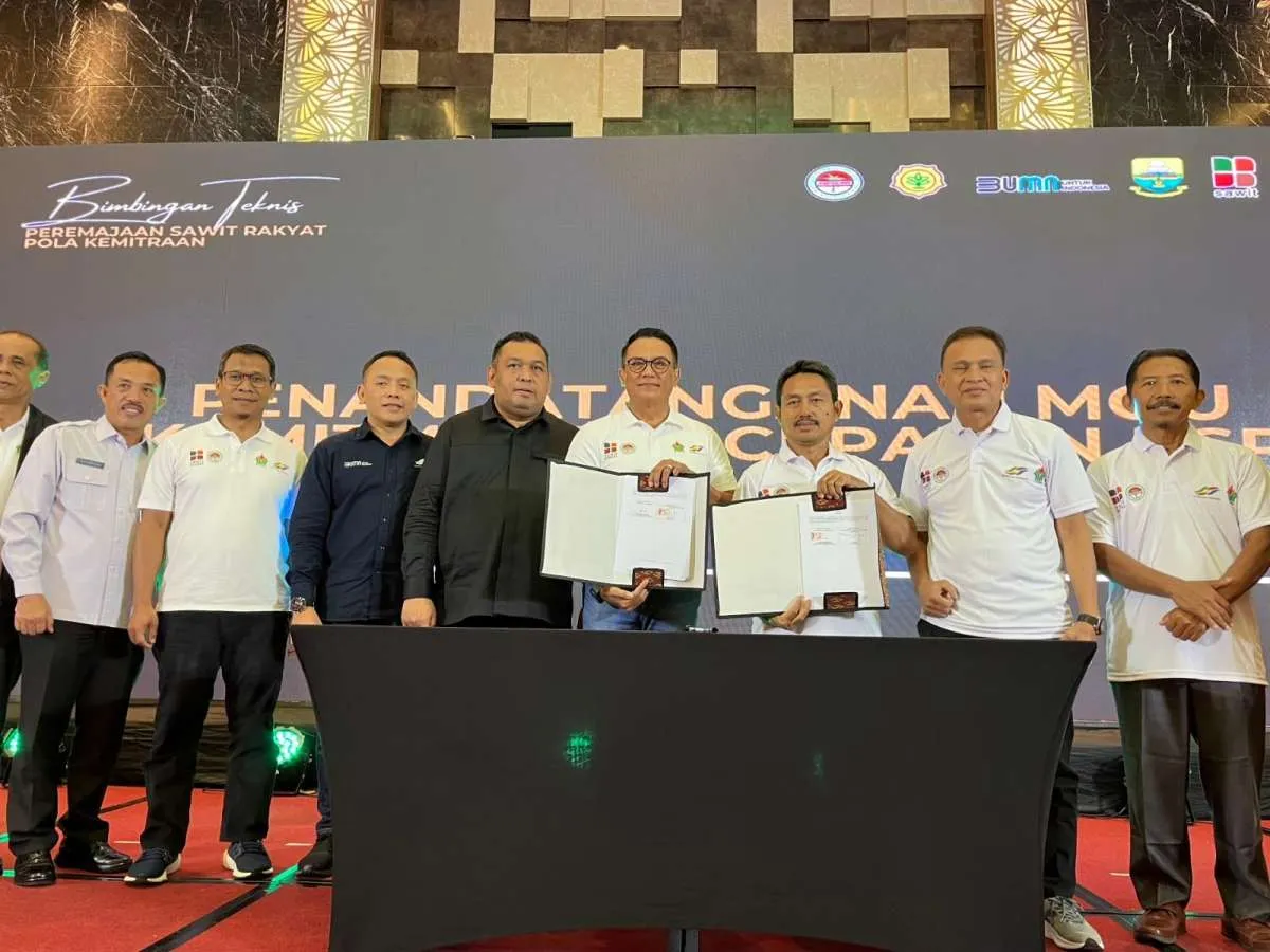 PTPN IV PalmCo Target Remajakan 15.000 Ha Sawit di Provinsi Jambi