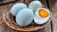 Kandungan Nutrisi Telur Bebek dan Manfaatnya untuk Kesehatan