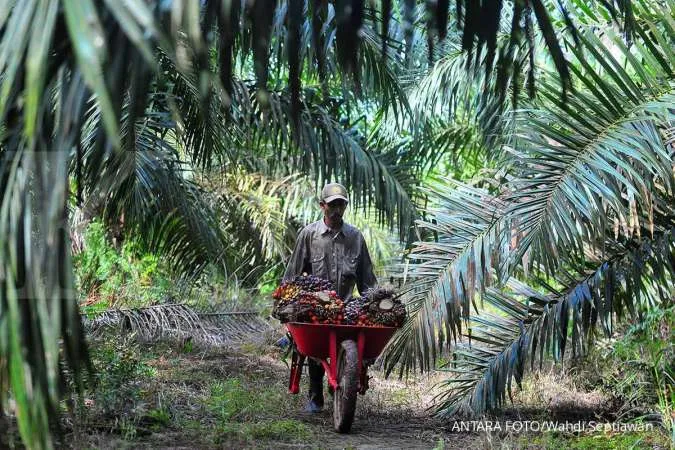 Indonesia aims to finish research on 40%-palm-based biodiesel in November