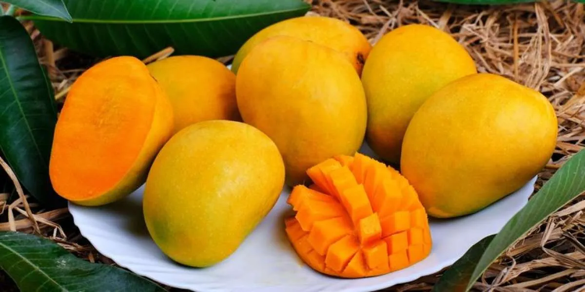 Catat 6 Buah dengan Kandungan Vitamin C Tinggi untuk Kesehatan Tubuh
