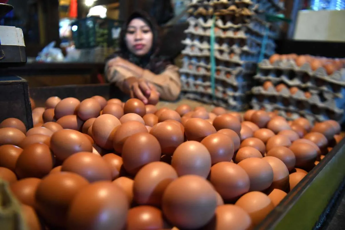 Inflasi November 2022 Melandai, Ini Kata Kemenkeu