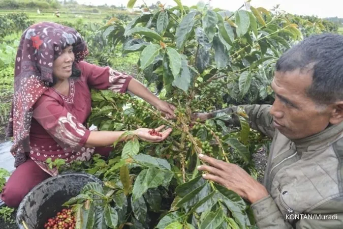 Asia Coffee-Prices in Vietnam edge down; Indonesia mini-harvest underway