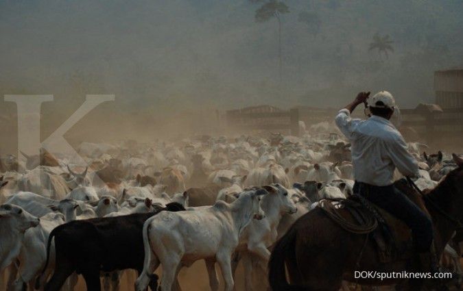 Trump Tingkatkan Impor Daging Sapi Argentina menjadi 80.000 Metrik Ton Trump Tingkatkan Impor Daging Sapi Argentina menjadi 80.000 Metrik Ton