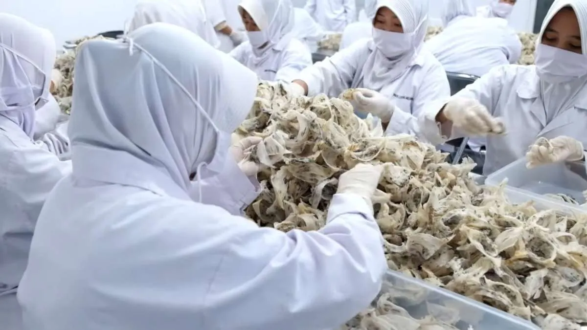 Baru Dibuka dari Suspensi, Saham Abadi Lestari (RLCO) Langsung ARB 9,77%