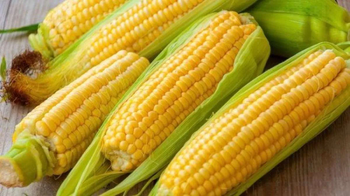 Apa Saja Manfaat Jagung untuk Tubuh? Penting Diketahui