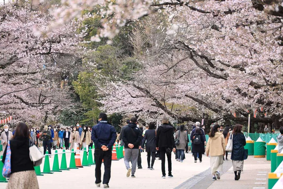 Masuk gelombang keempat pandemi, Tokyo dan Osaka minta deklarasi keadaan darurat