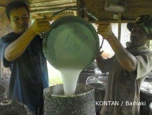 Harga karet alam semakin melar