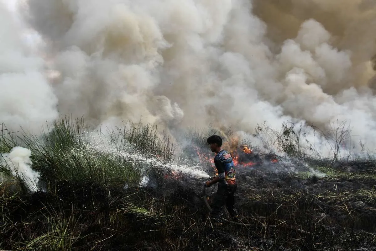 Karhutla Tembus 107.000 Hektare, Pengamat: Produksi Pangan Tertekan