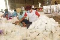 Harga Gula Naik, APTRI Usul Harga Gula di Tingkat konsumen Dilepas ke Mekanisme Pasar