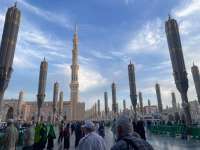 Ada Dua Cara Masuk Raudhah di Masjid Nabawi, Ini Mekanismenya