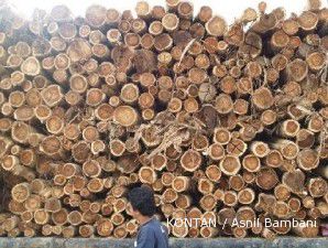 Greenpeace: APP Terus Rusak Hutan