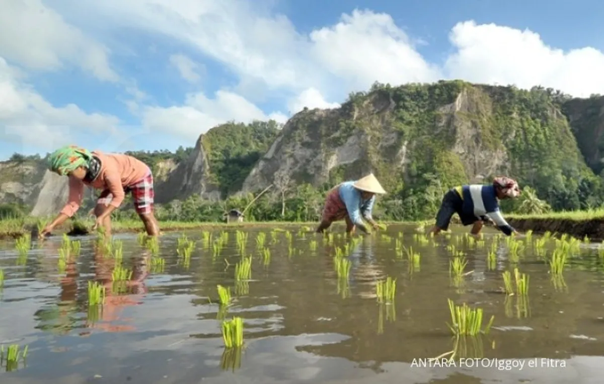 Kemtan wajib reformasi data pangan