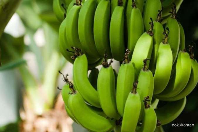 Pisang yang Tidak Boleh Dikonsumsi Penderita Asam Lambung Apa Saja?