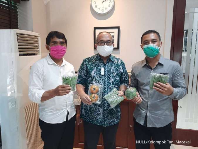 Petani Lembang mulai jajaki ekspor sayuran ke Singapura