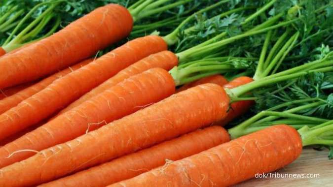 Kandungan nutrisi dalam wortel