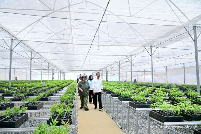 Presiden Joko Widodo beserta Menteri Lingkungan Hidup dan Kehutanan Siti Nurbaya Bakar saat meninjau Persemaian Mentawir, Kamis 21 September 2023.