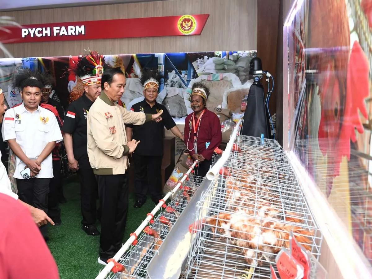 Tak Hanya di Papua, Jokowi Instruksikan Pembangunan Creative Hub di Sejumlah Daerah