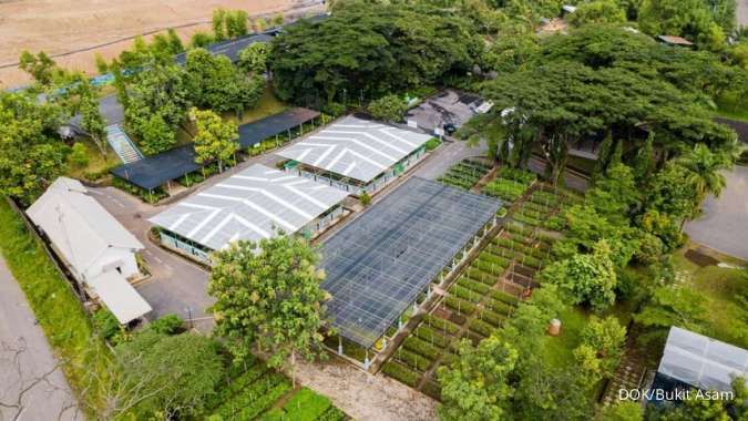 Kinerja di 2025 Masih Tumbuh, Bukit Asam (PTBA) Percaya Tetap Melaju di Tahun Ini 