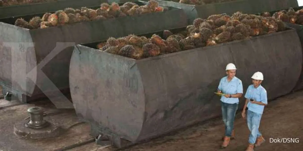 Dharma Satya Nusantara (DSNG) Alokasikan Capex Rp 800 Miliar Tahun Ini