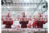 Dari Limbah Jadi Berkah: Wujud Ekonomi Sirkuler Dalam Olahan Kotoran Ternak