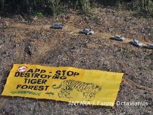 Pemerintah punya andil dalam perusakan hutan