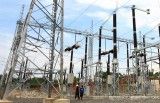 PLN Lakukan Efisiensi Jaringan dan Cofiring Biomassa Demi Kejar Target NZE 2060