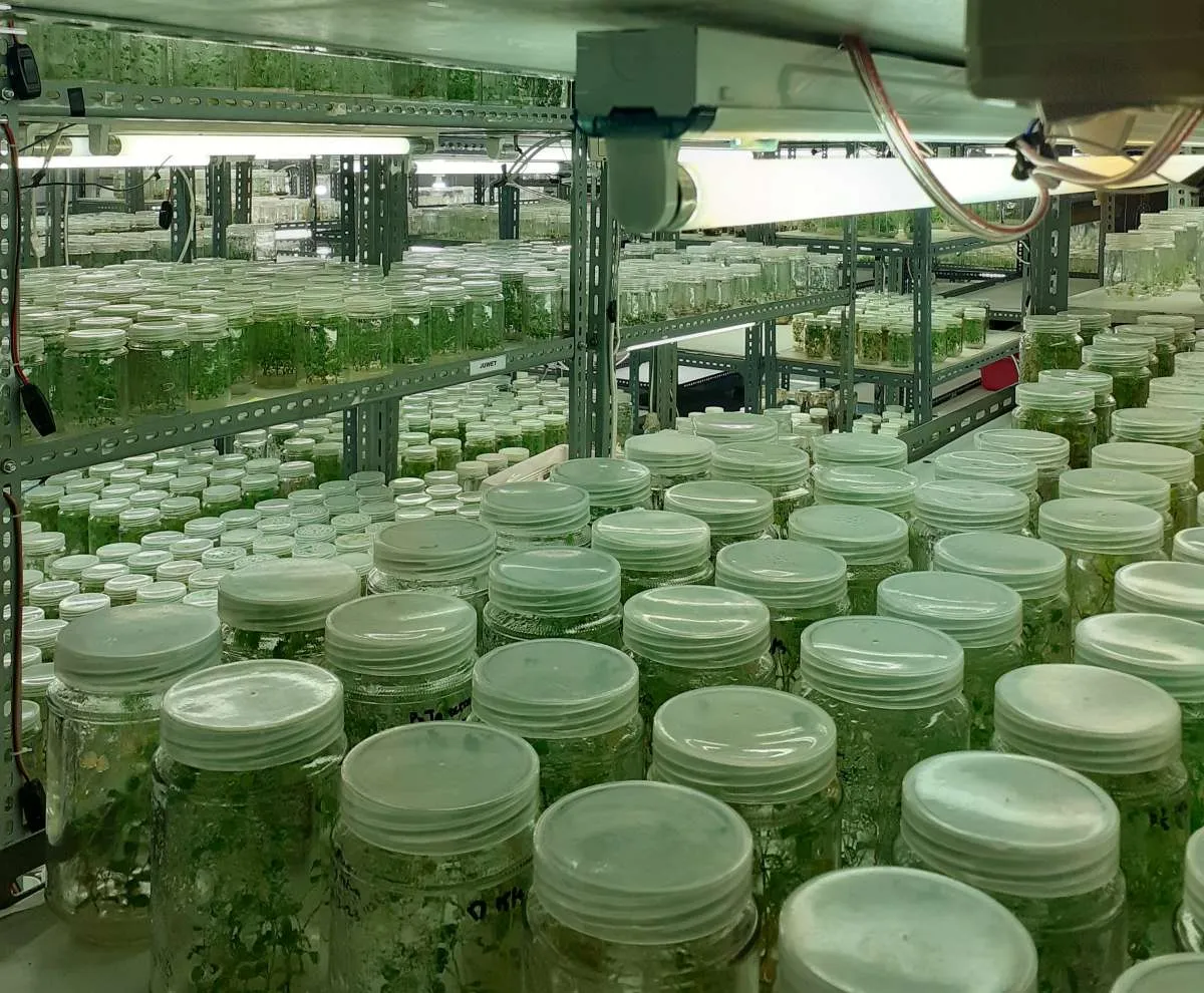  Pupuk Indonesia Gelar Kompetisi Riset & Inovasi Pertanian, Hadiahnya Rp 380 Juta