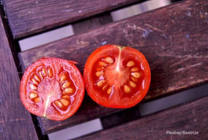 Kandungan nutrisi dan manfaat buah Tomat untuk Kesehatan tubuh
